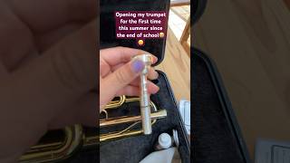 TRUMPET CHECKUP Stuck valves 😭 shortvideos trumpet preppyyyy bandkid fypシ゚viral asmr [upl. by Acsisnarf]