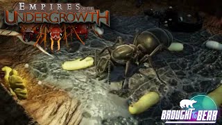 Empires of the Undergrowth Ant RTS Review [upl. by Berky]