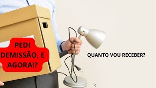 Como calcular rescisão no pedido de demissão [upl. by Lorilee]