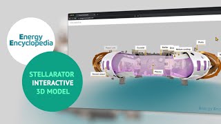 Stellarator 3D online model [upl. by Sherrer]