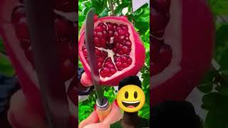 Harvesting some fresh and tasty fruits 🍉🍊🍌🥭🍎🍓shorts​ nature​ fruit​ garden​ ​ shortvideo [upl. by Christensen374]