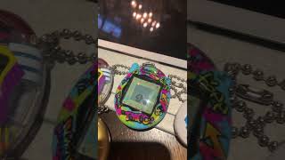 Here are some of my Tamagotchis [upl. by Anzovin344]