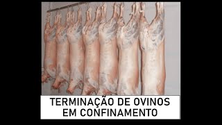 Aula 10  Terminação de ovinos em confinamento [upl. by Etireuqram440]