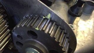 VW Polo 14 cambelt timing belt change  quotHow toquot [upl. by Bourne]