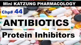 Chp44 Mini KATZUNG Pharma  Protein Synthesis Inhibitors  ANTIBIOTICS  Tetracyclines Macrolide [upl. by Ttayh]