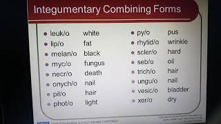 MEDICAL TERMINOLOGY CHAPTERINTEGUMENTARY SYSTEM [upl. by Sammer]