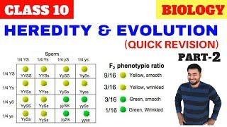 HEREDITY AND EVOLUTION CLASS 10 CBSE PART2 [upl. by Odranoel80]