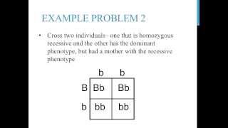 Algebraic Expressions Basics [upl. by Addy]