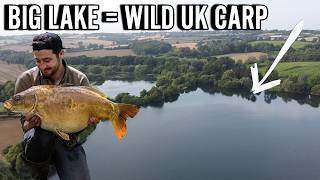 3 Years Fishing For Wild UK Carp  UNKNOWNS FROM THE UNKNOWN [upl. by Marih988]