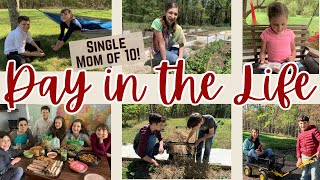 A Day in the Life of Single Mom on a Farm Homeschooling homesteading Mom of 10 with 6 at home [upl. by Macdonell]