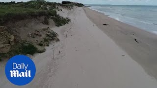 Incredible drone footage shows Normandy DDay beaches 75 years on [upl. by Efal]