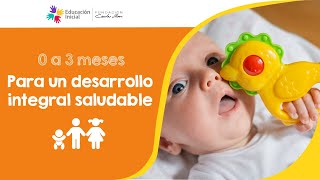 Para un desarrollo integral y saludable 0 a 3 meses [upl. by Milo]