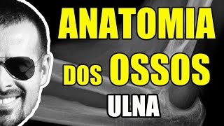 Acidentes ósseos da Ulna  Sistema ÓsseoEsquelético  VideoAula 075 [upl. by Aryn]