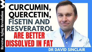 Curcumin Quercetin Fisetin amp Resveratrol Are Better Dissolved In Fat  Dr David Sinclair Int Clips [upl. by Gweneth]