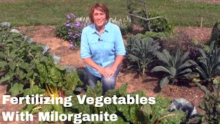 How to Fertilize Your Vegetable Garden with Milorganite [upl. by Nanny]