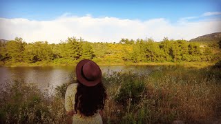 Day 1 Picnic by the Lake Focaccia Sandwich Tiramisu and My Relationship with Food [upl. by Derreg944]