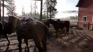 The Guest Ranch Experience  British Columbia Canada [upl. by Kev]