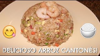 RECETA DE ARROZ CHINO [upl. by Santa]