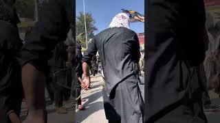 Dasta Saqa e Sakina Parachinar muharram yaali noha unfrezzmyaccount karbala viral alam [upl. by Eelyek]