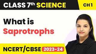 What is Saprotrophs  Nutrition in Plants  Class 7 Science Chapter 1 202223 [upl. by Asare733]