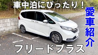 【ホンダフリードプラス】こんなに車中泊にぴったりな車があるなんて！【クロスター】 [upl. by Bradski274]