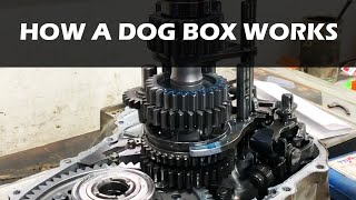 How a Dog Box works [upl. by Thad222]