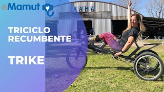 Triciclo Recumbente para Adultos con respaldo eMamut Trike [upl. by Jezebel893]