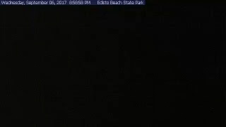 Edisto Beach State Park Live Stream [upl. by Naz]