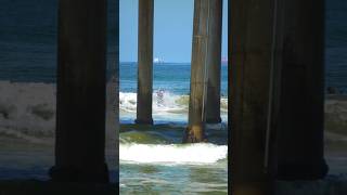 surfingshortsvideo viral Olympic [upl. by Marduk]