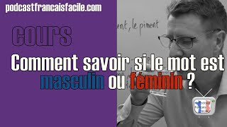 Comment savoir si un mot est masculin ou féminin niveau A1A2 [upl. by Dugald]