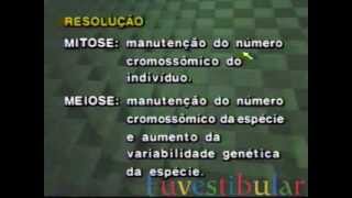 25 Exercícios Citologia e Genética  Biologia Vestibulando Digital [upl. by Race]