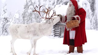 Christmas message of Santa Claus amp reindeer in Lapland Finland  Rovaniemi Santa Claus Village [upl. by Ennovyahs]