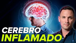 ¿Depresión o Cerebro Inflamado Sorprendente Vínculo 🤯 Encuentra la solución con estos SUPLEMENTOS [upl. by Sherl]