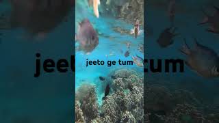 jeeto ge tumyoutubeshorts motivation [upl. by Yecrad]