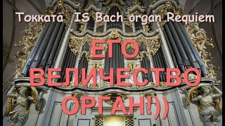 Потрясающая музыка И С Бах Орган Токката IS Bach Organ Requiem [upl. by Ardnajela]