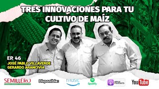 EP 46 Innovaciones para el cultivo de maíz  Aspros [upl. by Ezaria27]