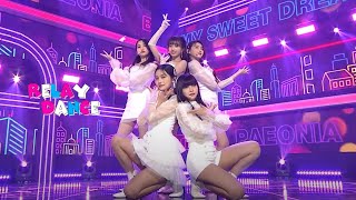 릴레이댄스 Busters 버스터즈  Paeonia 피오니아 [upl. by Nylodam]