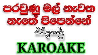 Paraunu mal nawatha nathe  Karoake  Without Voice CTFernando Karoke පරවුණු මල් නැවත නැතේ Lyrics [upl. by Llyrehc]