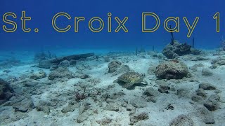 St Croix Trip Day 1 Dive 1 [upl. by Anelad]