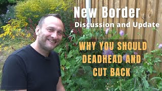 New Border Update  Deadheading and Cutting Back  Plant Discussion  Gardening Tips and Advice [upl. by Yrrol]