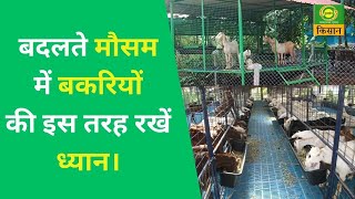 बदलते मौसम में बकरियों की इस तरह रखें ध्यान Kisan Prashan Manch  DD Kisan [upl. by Garold792]