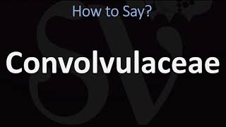 How to Pronounce Convolvulaceae CORRECTLY [upl. by Hopkins]