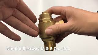 BW F03 Brass ferrule valve [upl. by Yesnyl874]