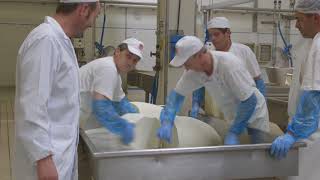 How Its Made With Murrays Cheese Asiago [upl. by Forbes]