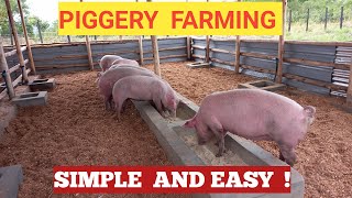 How To START A PIG FARM Business As A BEGINNER  DETAILED [upl. by Ibloc879]