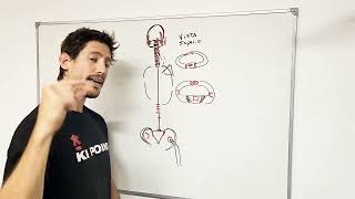 Postura y Disfunciones  Clase 1 [upl. by Llehsem27]