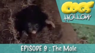 Cogs Hollow 1990  Episode 9  The Mole [upl. by Strohben]