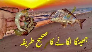 hawkes bay fishing himaliya fishing karachi fishing جھینگا لگانے کا طریقہ [upl. by Krys]