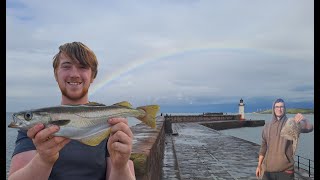 Sea Fishing at Whitehaven Harbour  Pollock catch amp cook [upl. by Cir538]