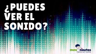 ¿Podemos ver el sonido  mininautas  Experimentos de ciencia para niños  Vídeo [upl. by Acnaib116]